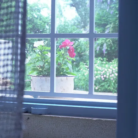 Trullo Santangelo 4*